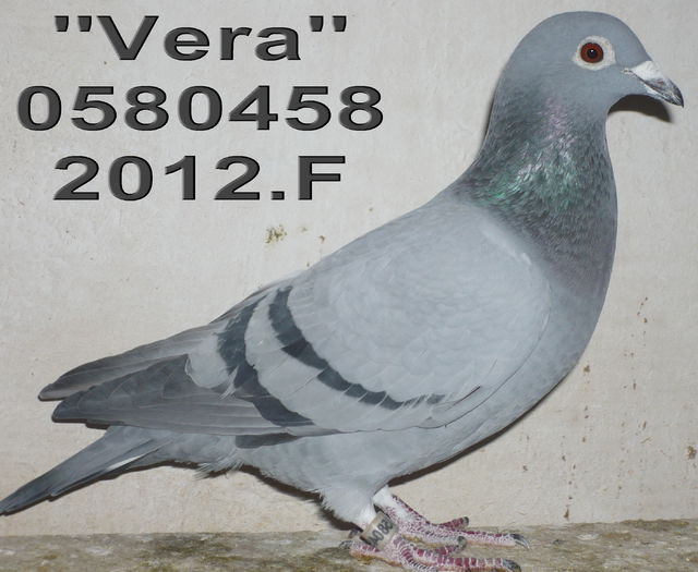 0580458.2012.F.Vera.ang 12 cl 6