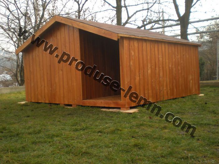 cotet cusca caine (7)