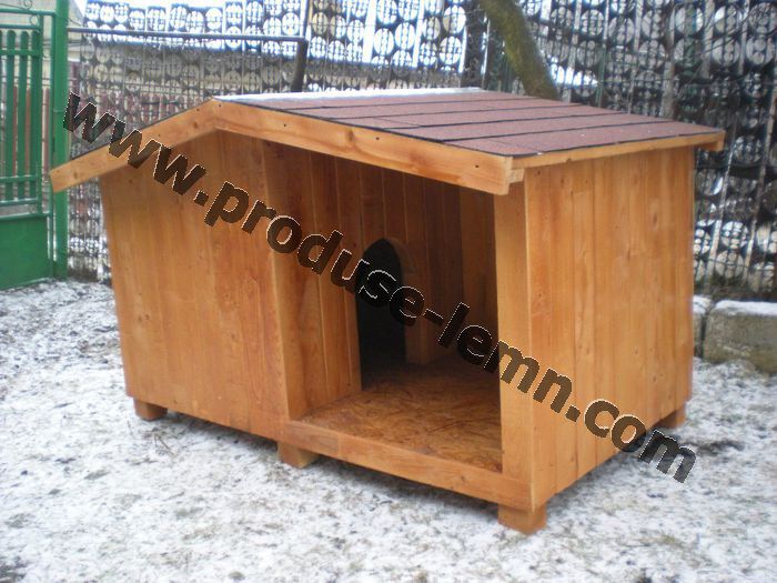 cotet cusca caine (12)