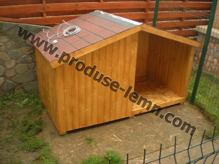 cotet cusca caine (15)