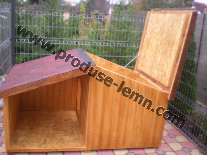 cusca cotet caine (15)