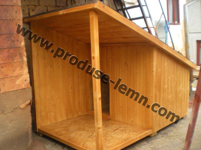 cusca cotet caine (16)