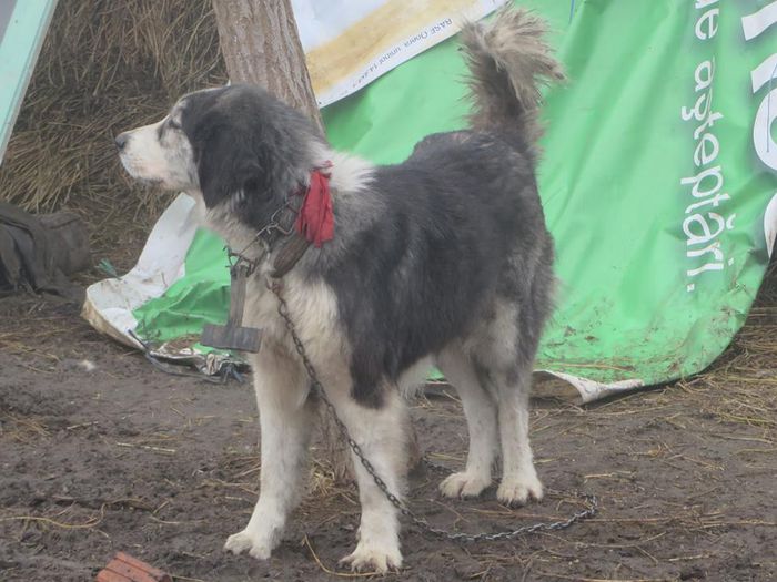 10269367_1771683089722563_3046519069625761138_n[4]