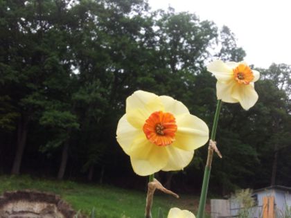 20130603_104310