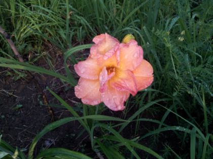 20130626_203642