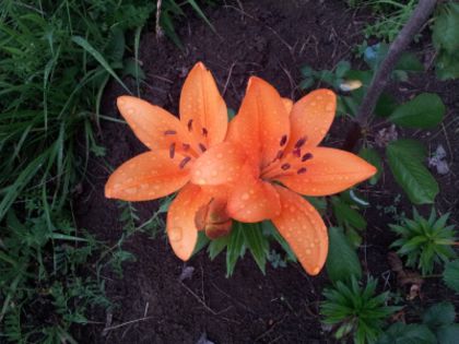 20130626_205050