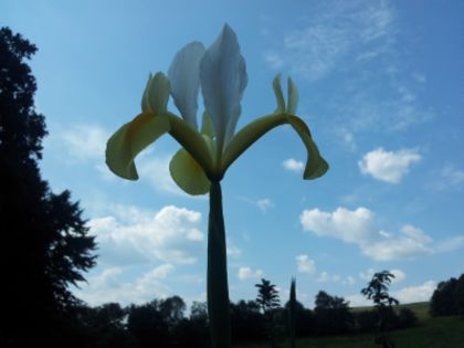 20130703_161312