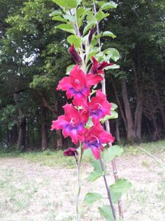 20130720_192345