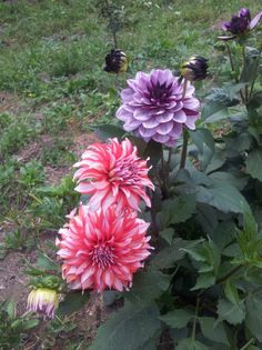 20130721_173540
