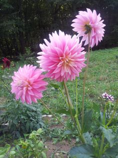 20130721_173555