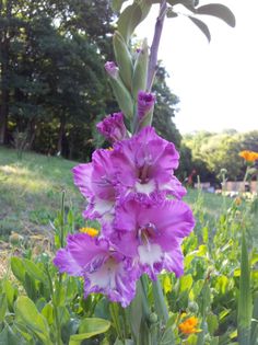 20130802_102429