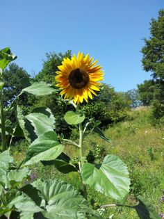 20130805_115953