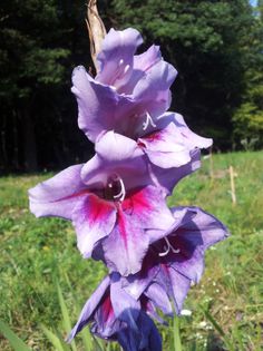 20130819_100953