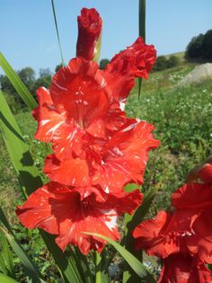 20130819_101058