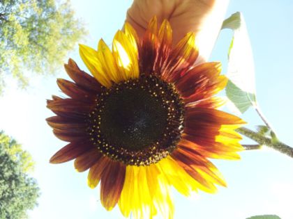 20130826_112252