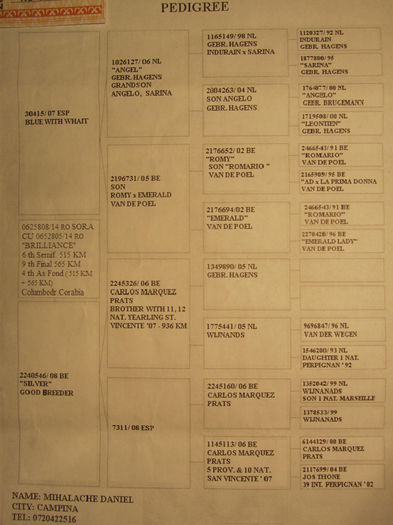 sora buna cu loc 4 as columbodrom Corabia - achizitii 2014