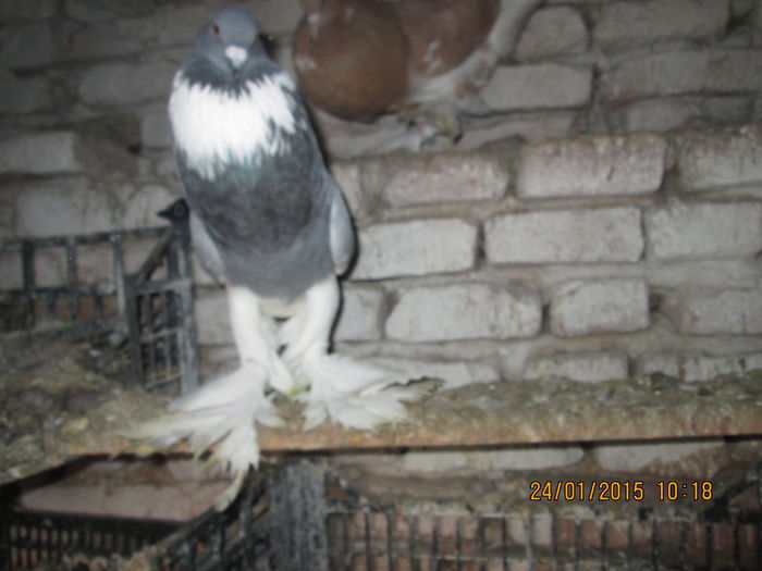 Picture 048