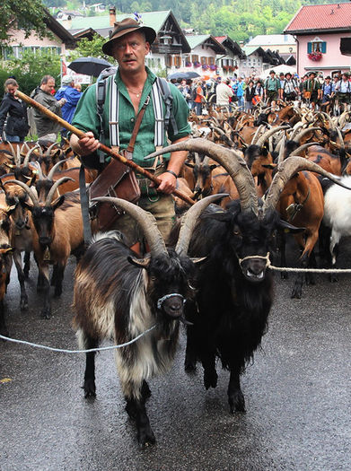 In Bavaria plecam in Alpi