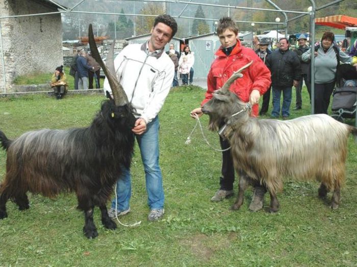 In Italia la un concurs