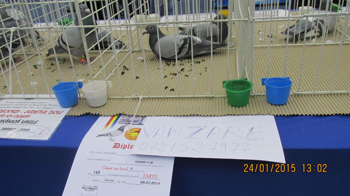 Picture 050 - Expo Craiova 2015