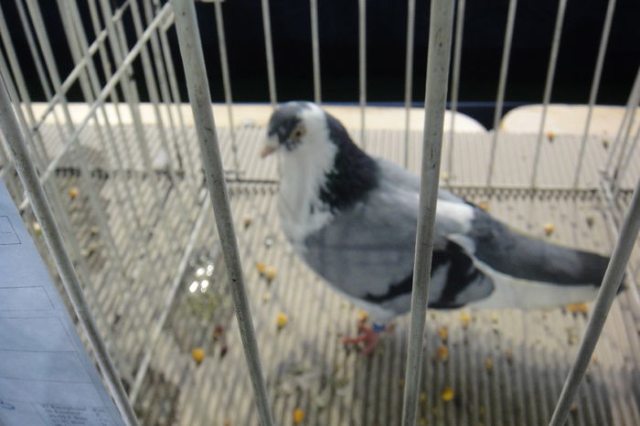 DSC01195