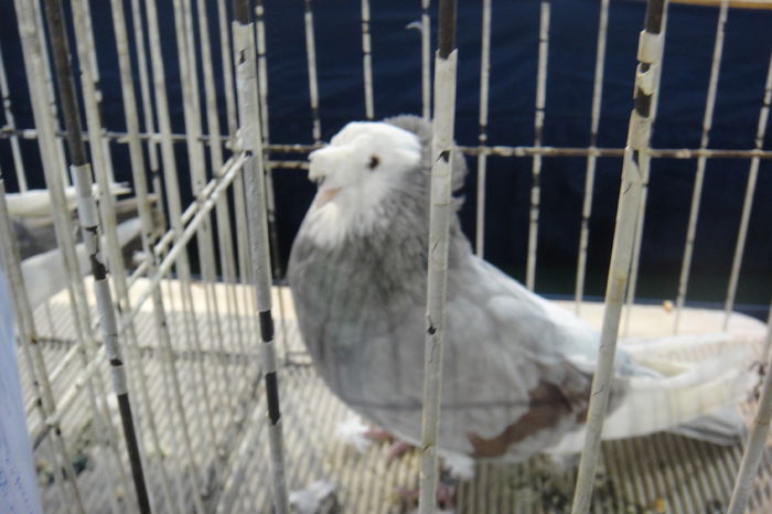 DSC01200