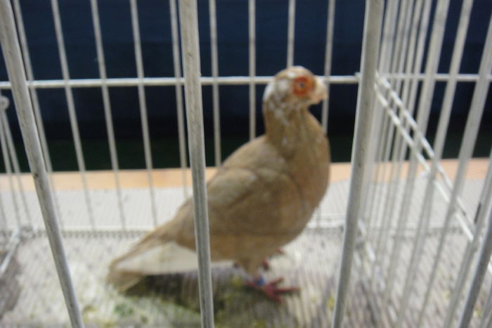DSC01234