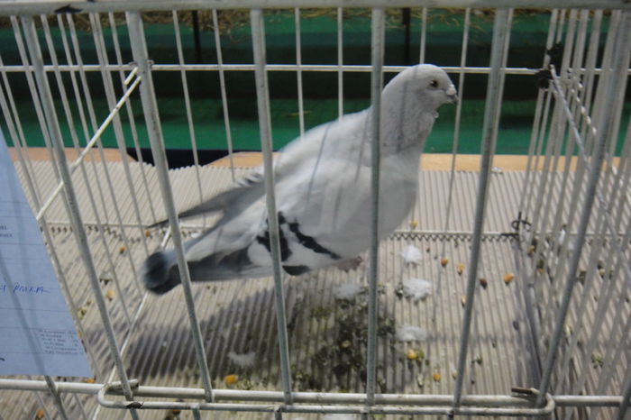 DSC01240