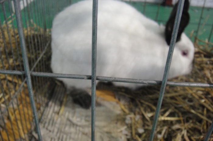 DSC01247