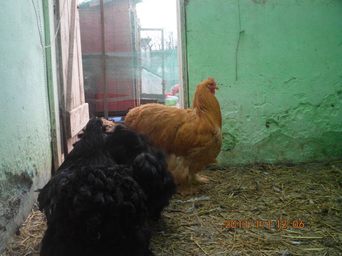 101753296_XDHPJQU3 - TINERET 2014   2