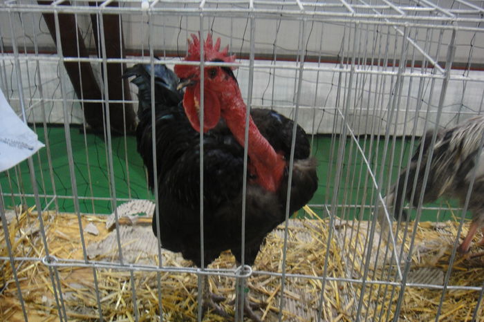 DSC01269