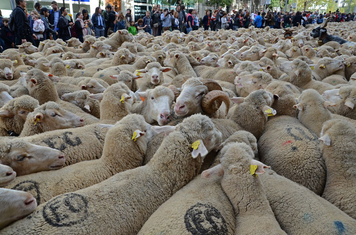 Prin Madrid cu turma-7