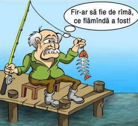 1511027_629688227143135_11953317762186951_n