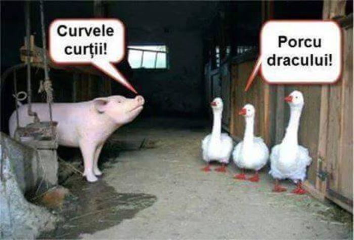 10930912_630519300393361_5942593929269471098_n