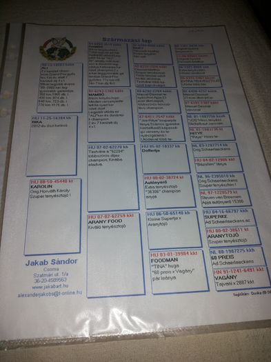 porumbei mulemans 136