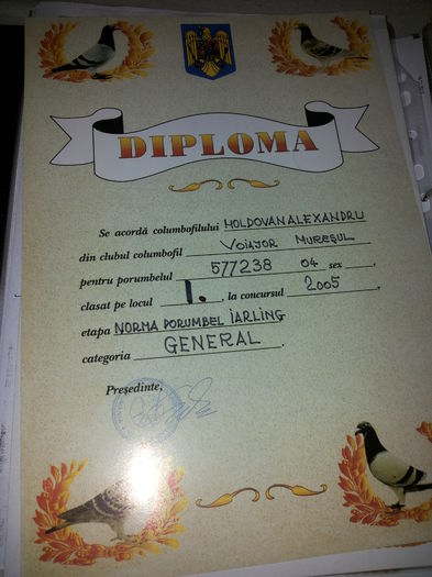 porumbei mulemans 127