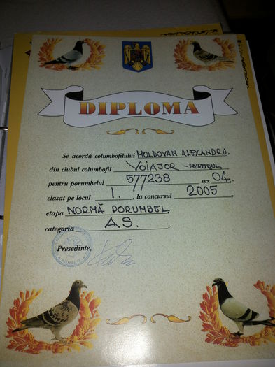 porumbei mulemans 132 - PEDIGREE PORUMBEI