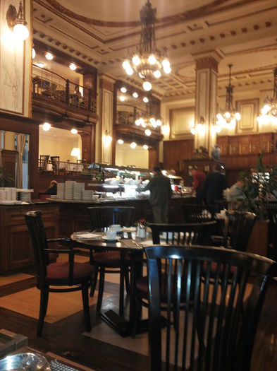 porumbei mulemans 248