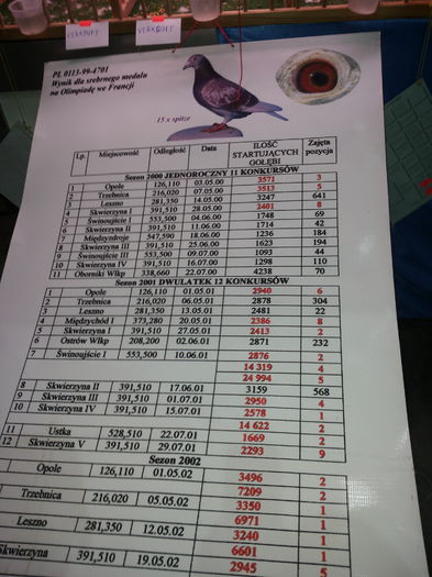 porumbei mulemans 173