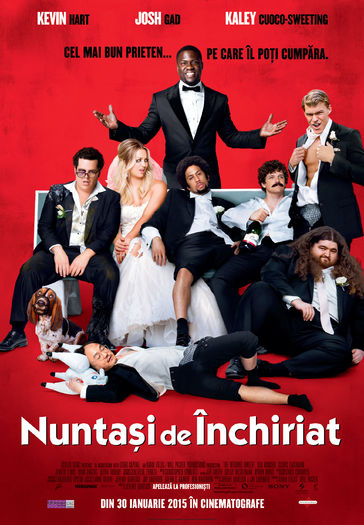The Wedding Ringer (2015) - Filme in curand