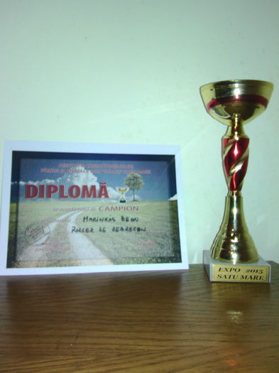 IMG_20150124_183002 - Cupe si Diplome