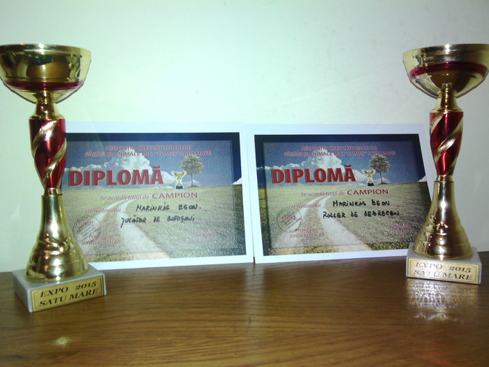 IMG_20150124_183153 - Cupe si Diplome