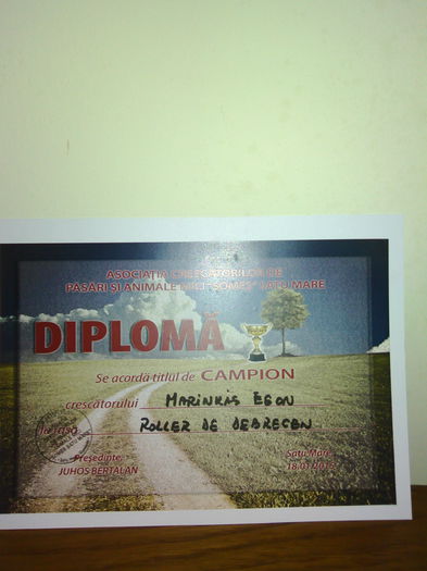 IMG_20150124_183652 - Cupe si Diplome