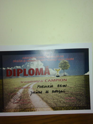 IMG_20150124_183704 - Cupe si Diplome