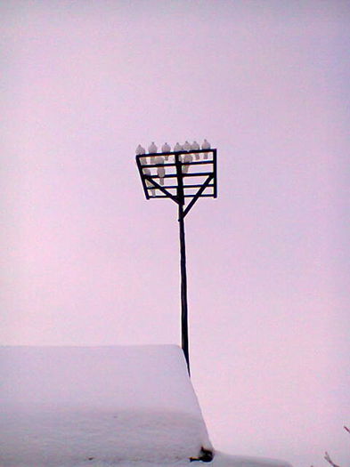 Fotografie0265; VOIAJORII PE ANTENA
