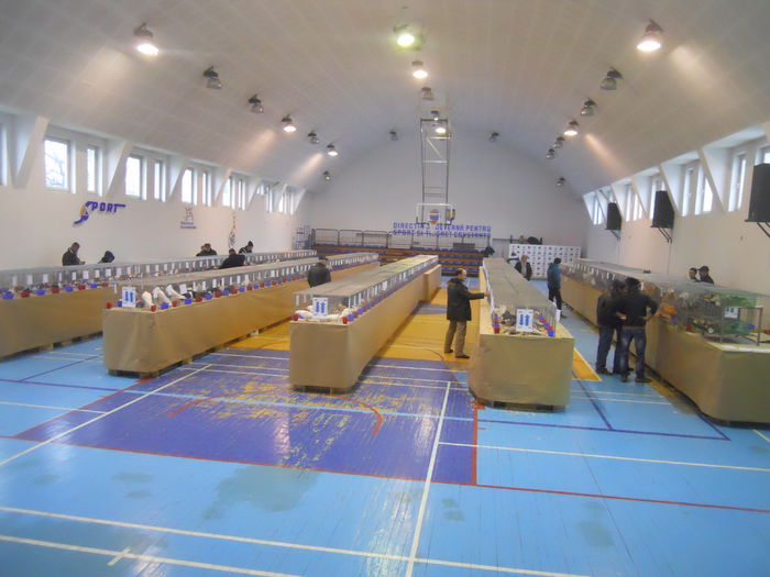 constanta2015 102 - 1533 Expo Constanta 2015