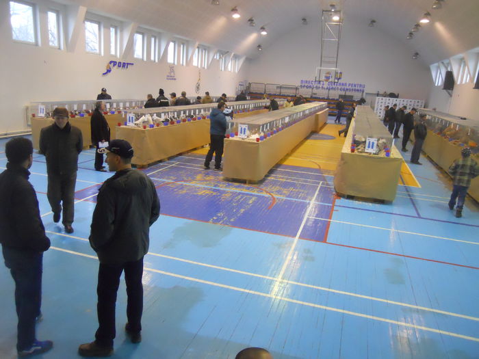 constanta2015 106 - 1533 Expo Constanta 2015