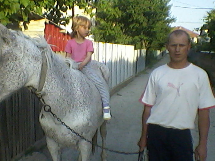 steluta