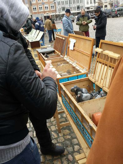 image - Lier Market Pigeon Paradis in Belgium