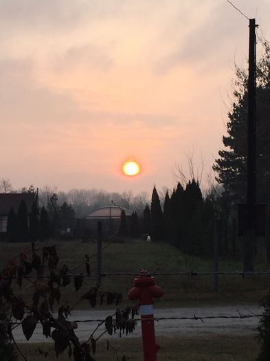 image - SzeAsott
